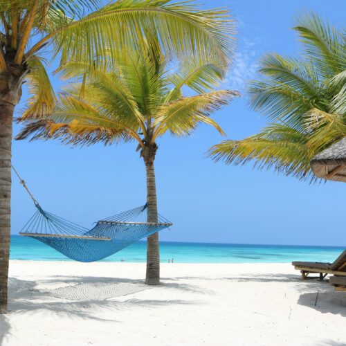 12 Days Tanzania Safari Holidays and Zanzibar Beach Toursafaris in tanzania tours